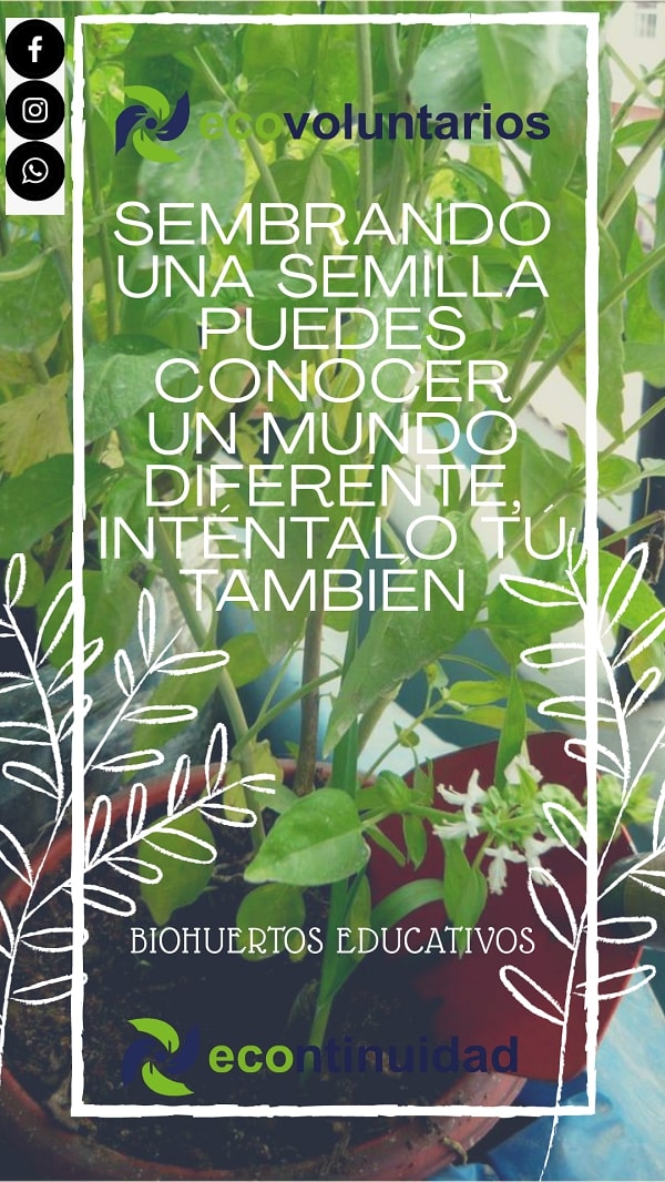 Sembrando una semilla puedes conocer un mundo diferente - Econtinuidad